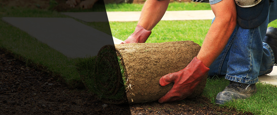 Cropwell Landscapers